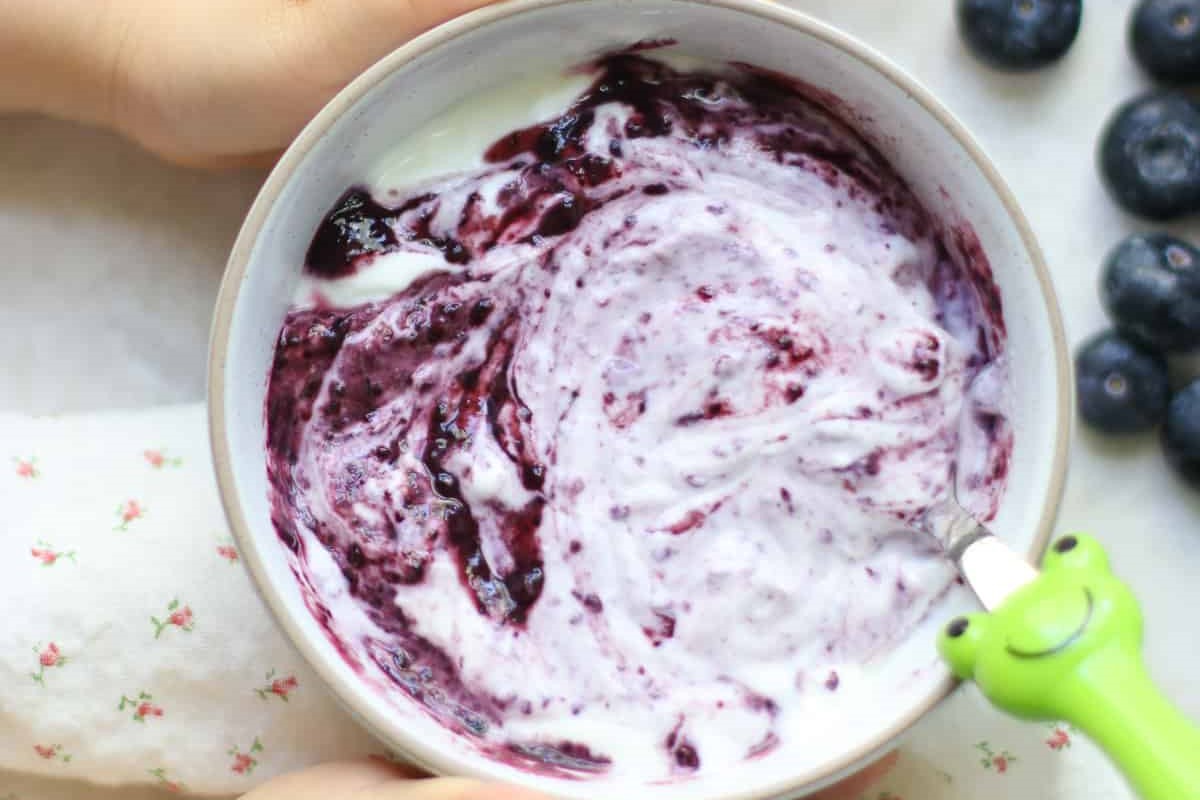 Quick Blueberry Yogurt
